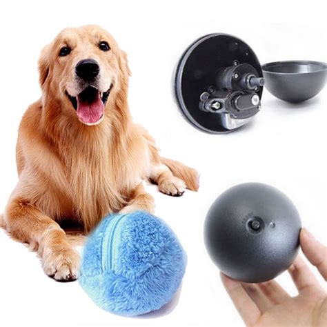 Enhancing Your Dog's Magical Abilities with a Witchcraft Roller Sphere